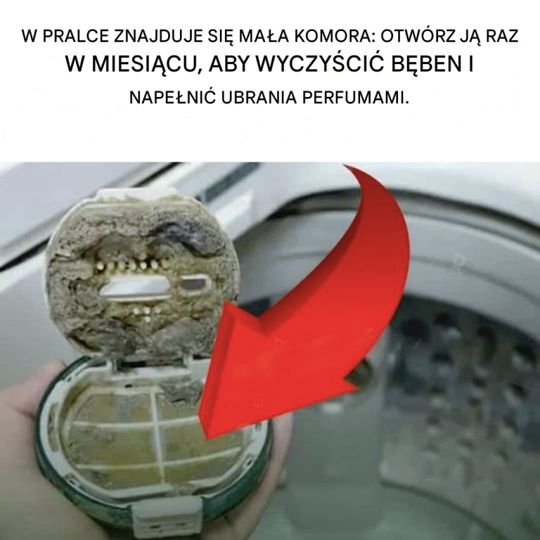W pralce znajduje się mała komora: otwórz ją raz w miesiącu, aby wyczyścić bęben i nadać ubraniom zapach