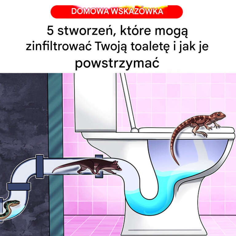 5 stworzeń, które potrafią wkraść się do toalet i jak im to uniemożliwić