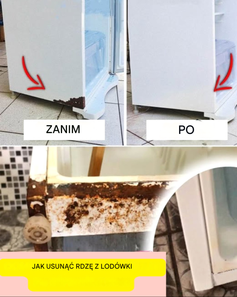 Jak pozbyć się rdzy z lodówki lub sprzętu AGD i zaoszczędzić pieniądze