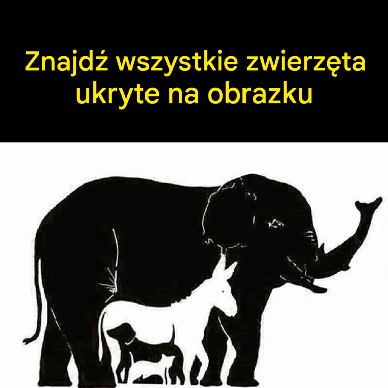 Tylko osoby z IQ powyżej 120 widzą więcej niż 6 zwierząt. Ile widzisz ty?