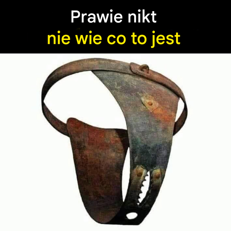 Czy wiesz co to jest?