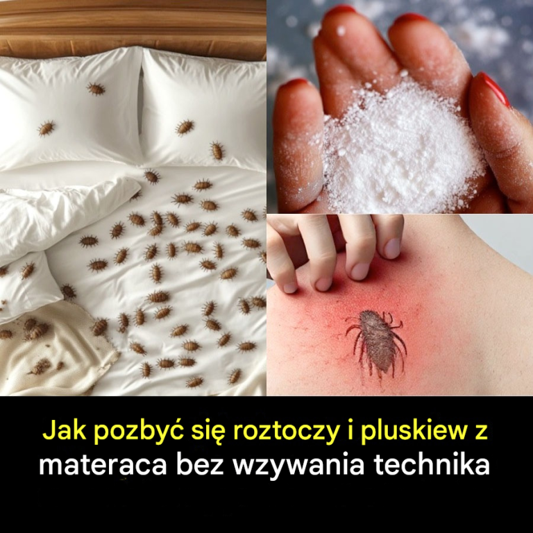Jak naturalnie pozbyć się roztoczy i pluskiew z materaca