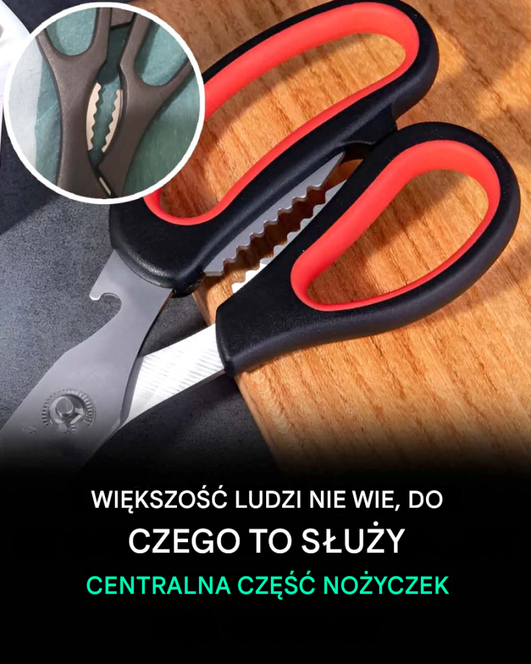 Do czego służy środkowa część nożyczek?