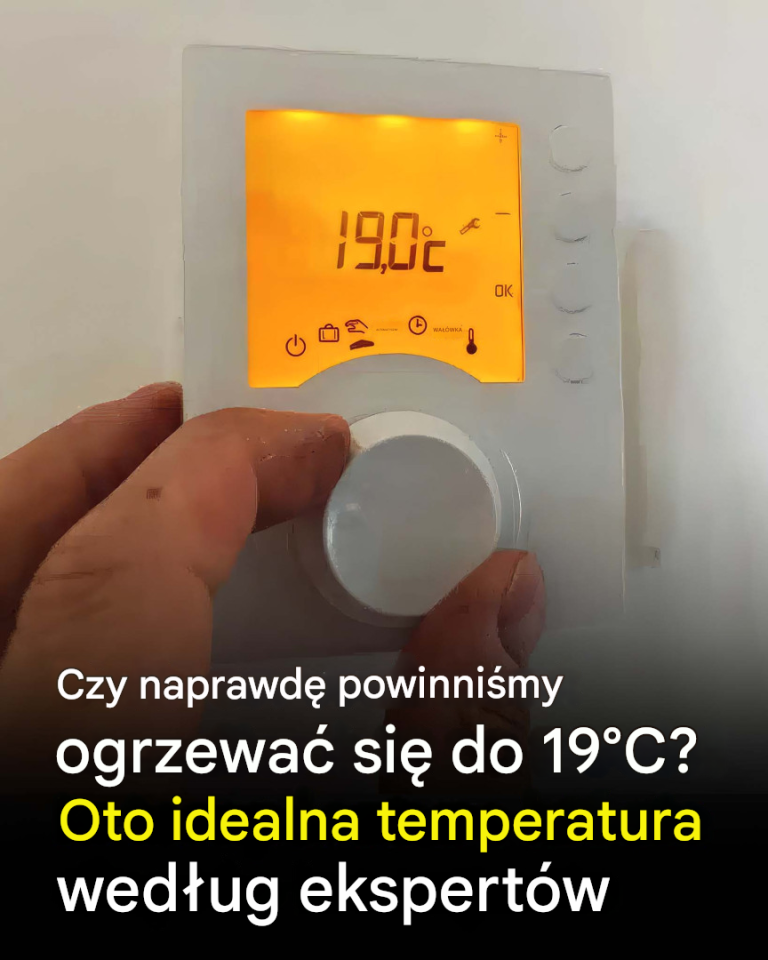 Czy naprawdę powinniśmy ogrzać się do 19°C? Oto idealna temperatura według ekspertów