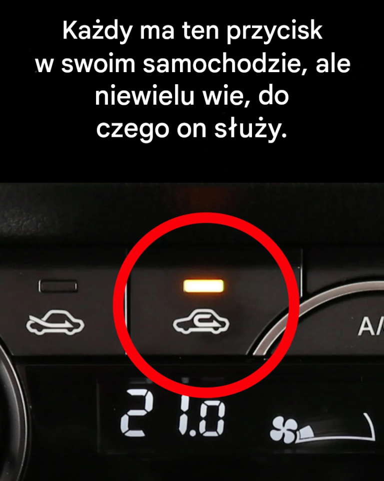 Do czego służy ten przycisk w samochodzie?