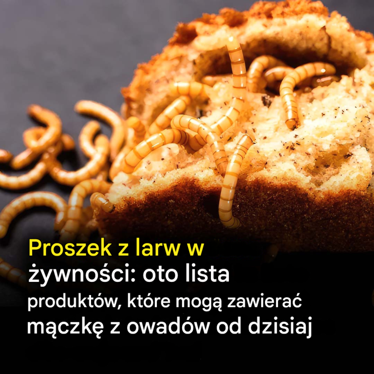 Mączka z larw w produktach spożywczych: dowiedz się, które produkty mogą teraz zawierać ten składnik