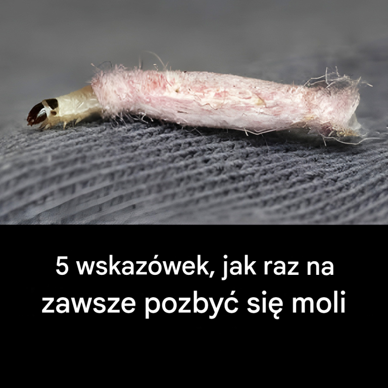 5 wskazówek, jak raz na zawsze pozbyć się moli