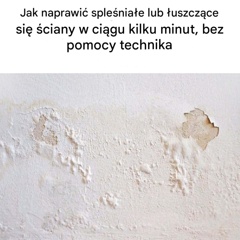Jak naprawić spleśniałe lub łuszczące się ściany w kilka minut