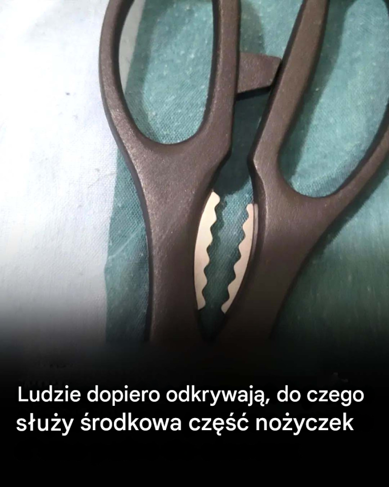 Ludzie dopiero odkrywają, do czego służy środkowa część nożyczek