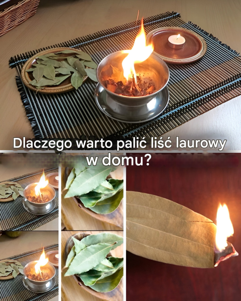 Dlaczego warto palić liść laurowy w domu?