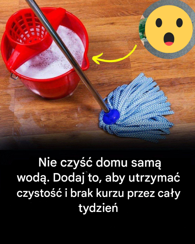 Porady, jak utrzymać dom w czystości i bez kurzu