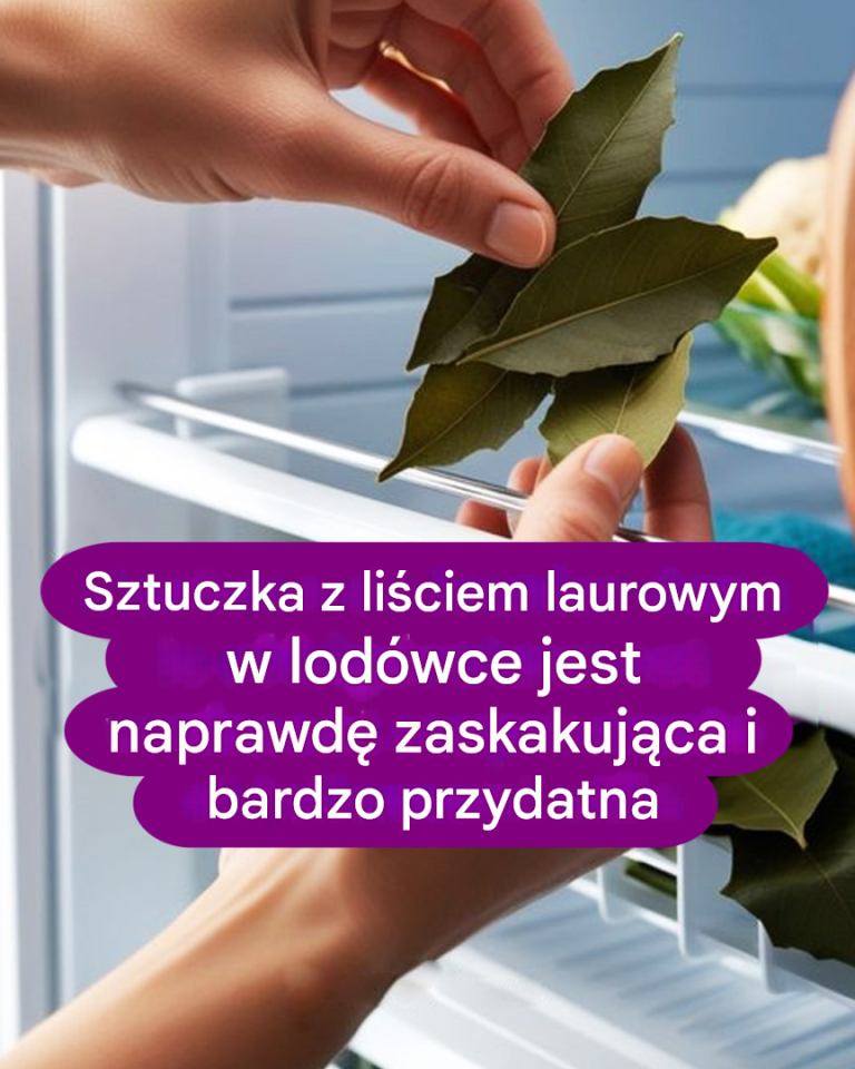 Dlaczego warto trzymać liście laurowe w lodówce?