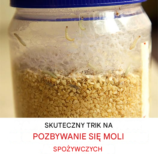 Jak naturalnie pozbyć się owadów z żywności?