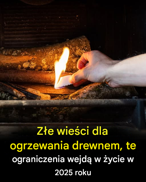 Nowe środki zaplanowane dla ogrzewania drewnem w 2025 r.