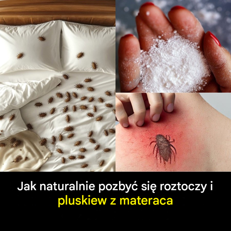 Naturalne rozwiązania pozwalające pozbyć się roztoczy i pluskiew z materaca