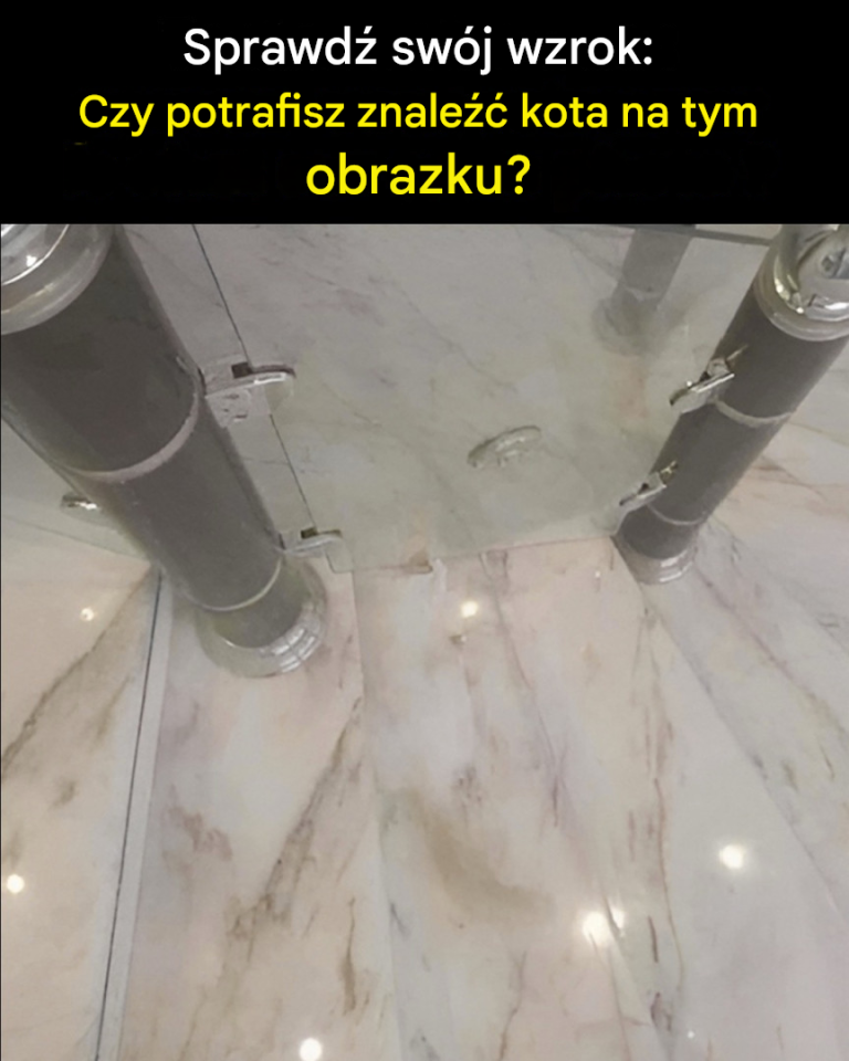 Czy potrafisz wskazać zwierzę ukryte na tym obrazku?