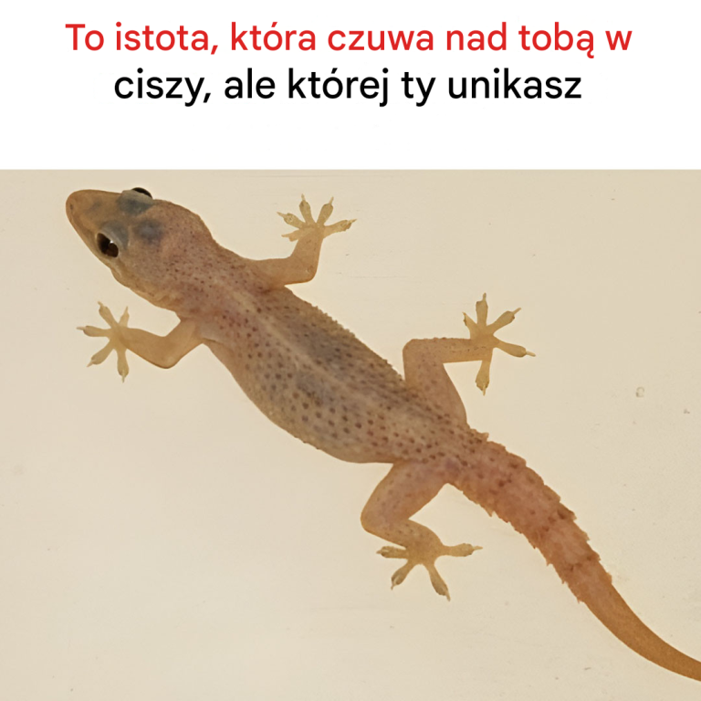 Dyskretni strażnicy czuwają nad Tobą w tajemnicy