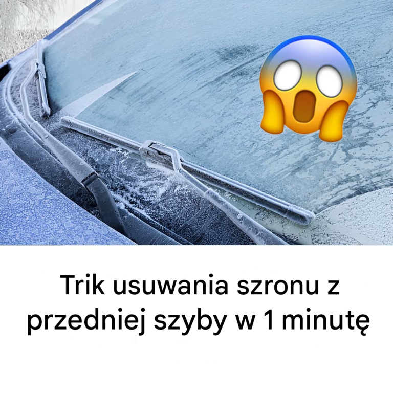 Szybka metoda na odmrożenie przedniej szyby w mgnieniu oka