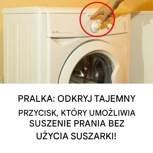 Pralki: Odkryj sekretny przycisk, który suszy ubrania bez użycia suszarki bębnowej