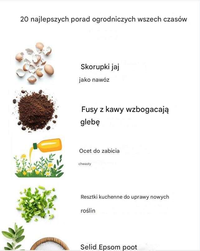 20 najlepszych porad ogrodniczych wszech czasów