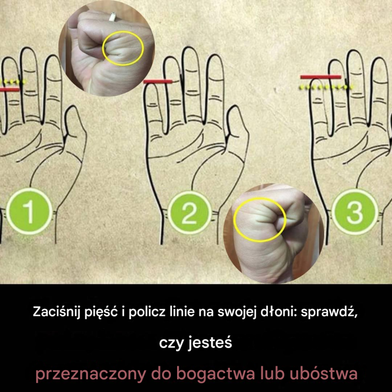 Zaciśnij pięść i policz linie na swoich dłoniach: Dowiedz się, czy czeka cię bogactwo, czy bieda.