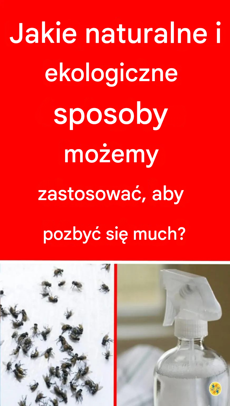Niezniszczalny środek odstraszający muchy zawierający tylko 3 naturalne substancje