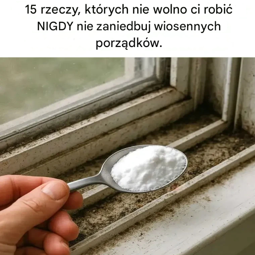 15 rzeczy, których nigdy nie należy pomijać podczas wiosennych porządków