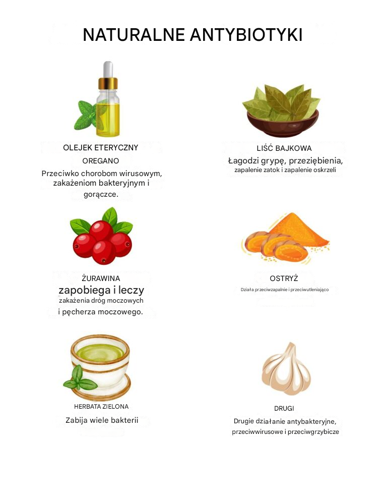 🌿✨ Naturalne antybiotyki: sprzymierzeńcy zdrowia z natury ✨🌿