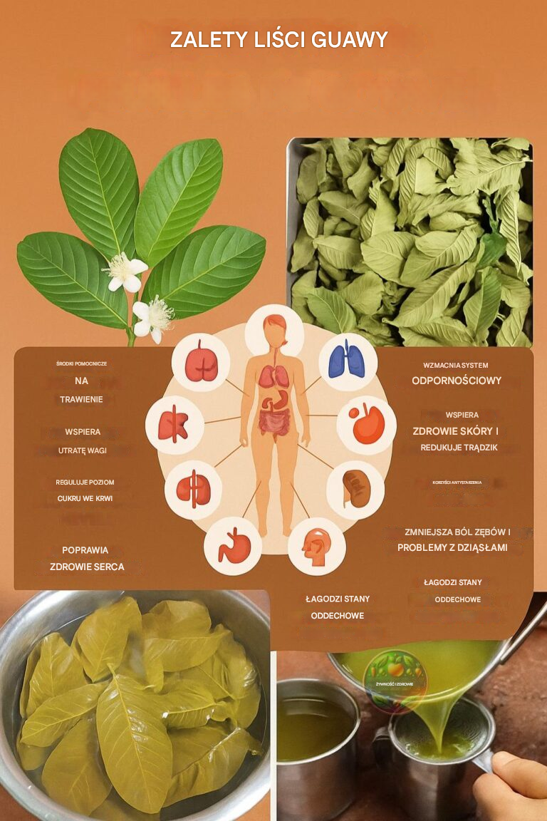 Liście Guawy: 12 potężnych korzyści, których nie możesz przegapić