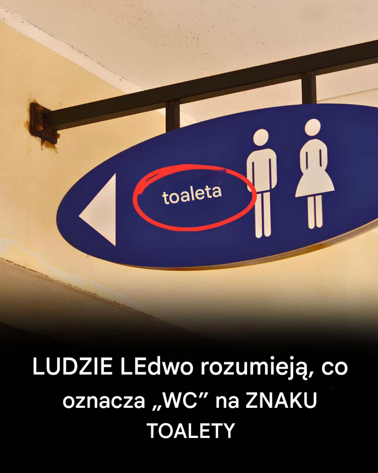Zaskakujące odkrycie: Mało znane pochodzenie symbolu toalety