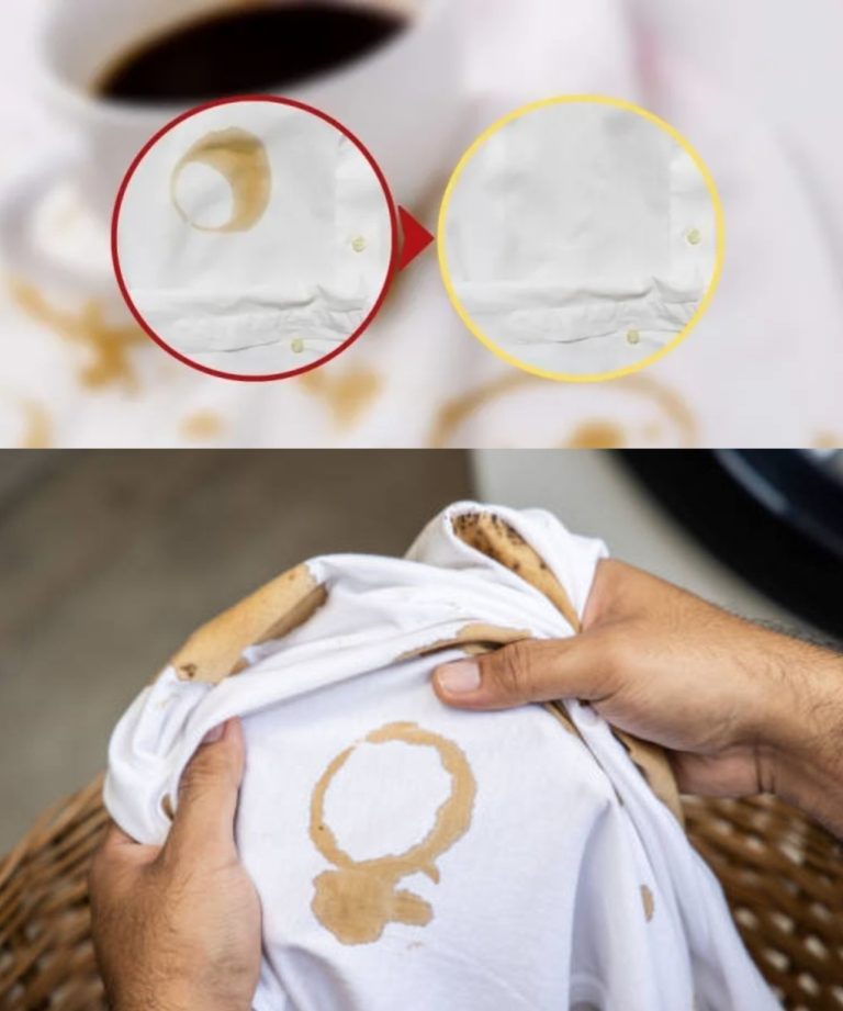 Plamy z kawy na ubraniach – jak usunąć je w kilka minut