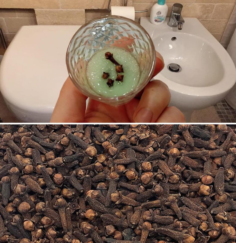 Naturalny trik na neutralizację nieprzyjemnych zapachów w łazience i zapewnienie jej przyjemnego zapachu przez wiele dni