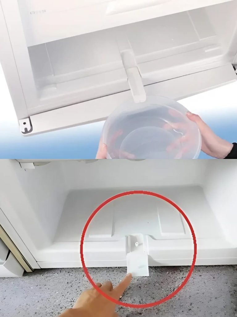 Odkryj ukrytą funkcję, która jest sekretem płynnej pracy Twojej lodówki