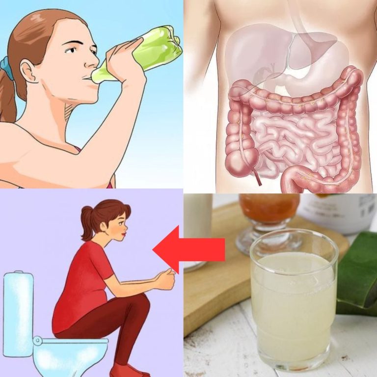 Moc oliwy z oliwek: dlaczego jest dobra dla zdrowia, gdy pijesz ją na pusty żołądek