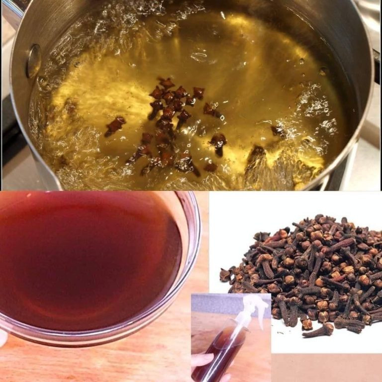 Przepisy Korzyści z picia wody goździkowej wieczorem: prosty sposób na poprawę zdrowia