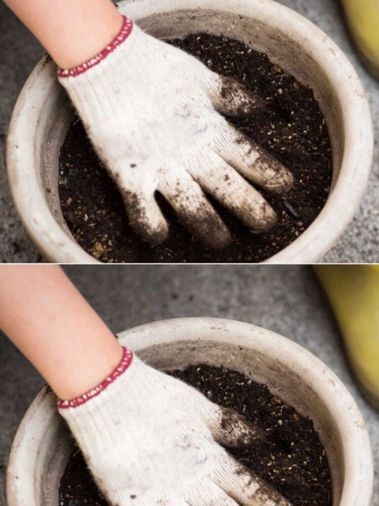 Chciałbym to zobaczyć wcześniej! Świetna rada!