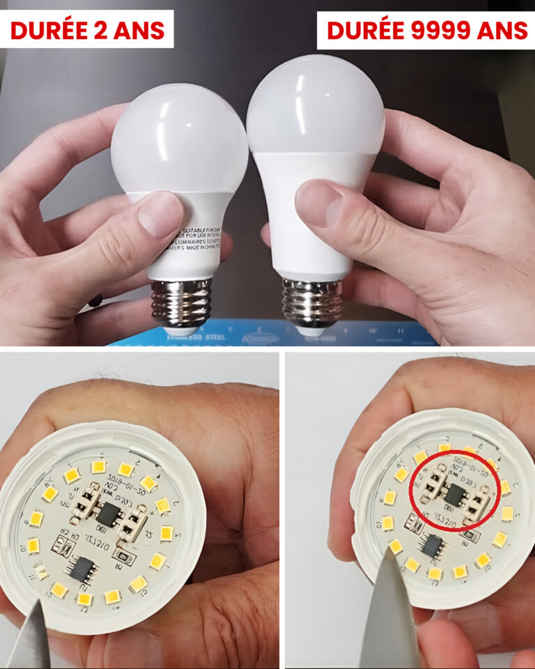 Dzięki tej wskazówce Twoje żarówki LED będą działać przez całe życie