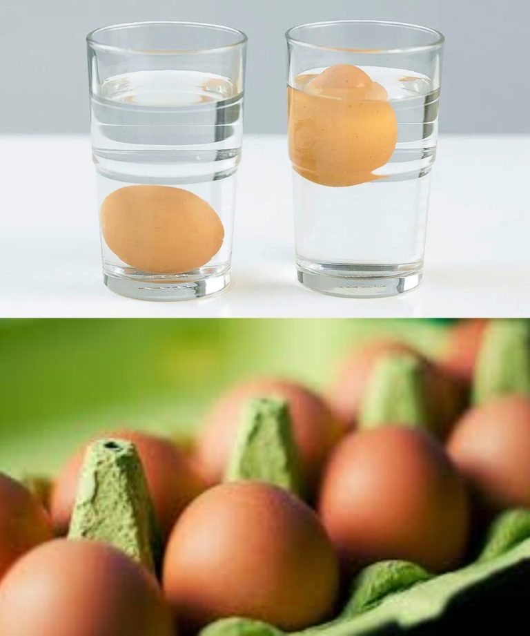 Po zakupieniu jajek należy je zwrócić do domu. Szkoda, że ​​nie otrzymałem tej porady wcześniej!