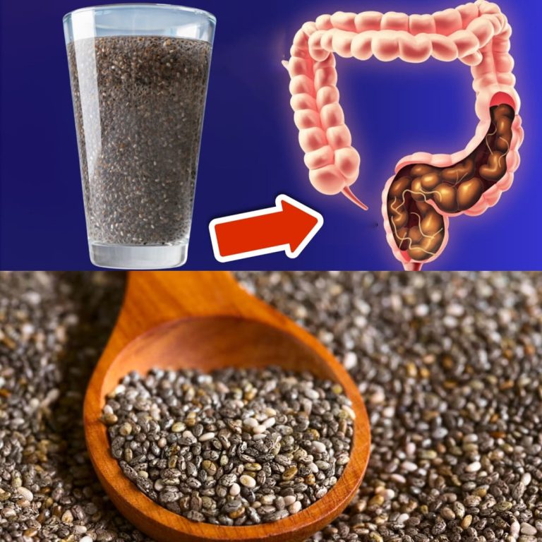 Wszystkie choroby mają swoje źródło w jelitach (oto jak można je wyleczyć) 🤯 – Magia 💥wody z nasion !