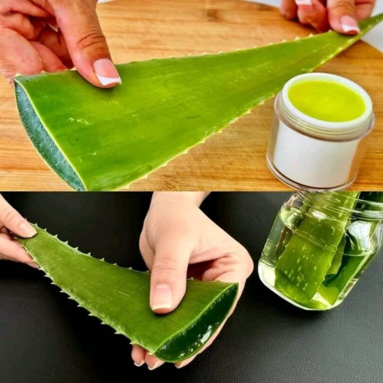 1000 razy silniejszy niż Botox! Naturalny krem ​​z kolagenem i aloesem, który usuwa wszystkie zmarszczki