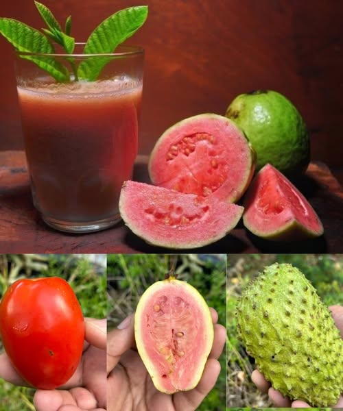 Napój, który w 2025 roku opustoszy szpitale: leczy raka, cukrzycę i nadciśnienie bez leków.