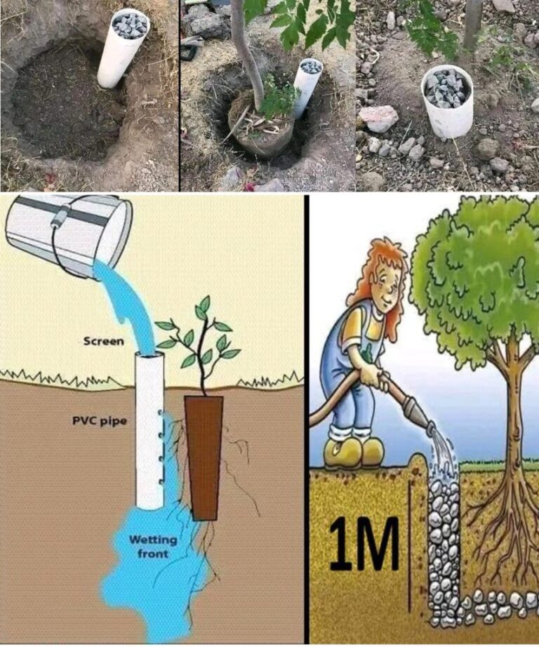 Ekologiczne podlewanie za pomocą rur PVC: inteligentne rozwiązanie dla zrównoważonego ogrodu