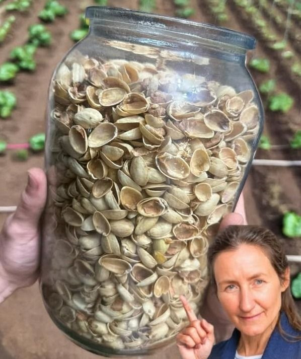 Innowacyjne zastosowania skorupek pistacji: często pomijany skarb ekologiczny