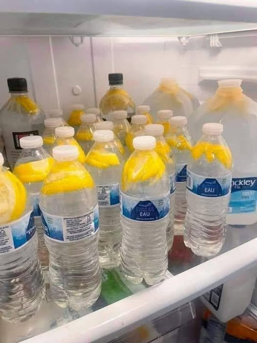 „Ten prosty napój może rozpuścić tłuszcz na brzuchu szybciej, niż myślisz. Odkryj moc wody imbirowej!”