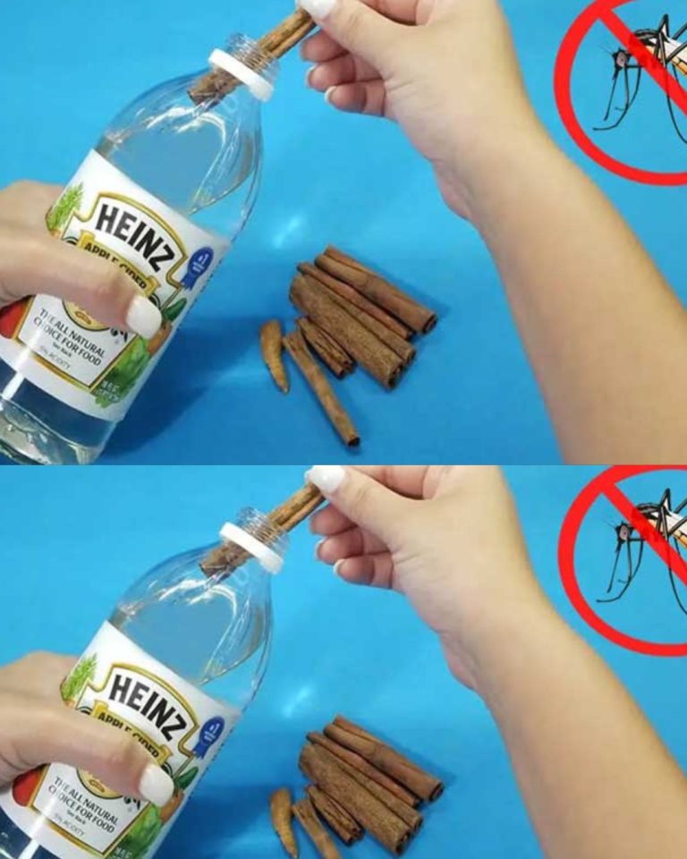 Środek odstraszający na bazie białego octu i cynamonu, który odstraszy komary od Twojego domu