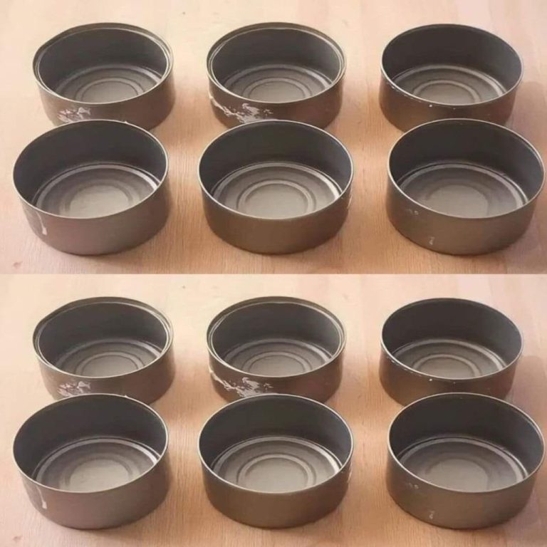 Nie wyrzucaj już puszek po tuńczyku, w domu są warte tyle, co złoto: jak je ponownie wykorzystać