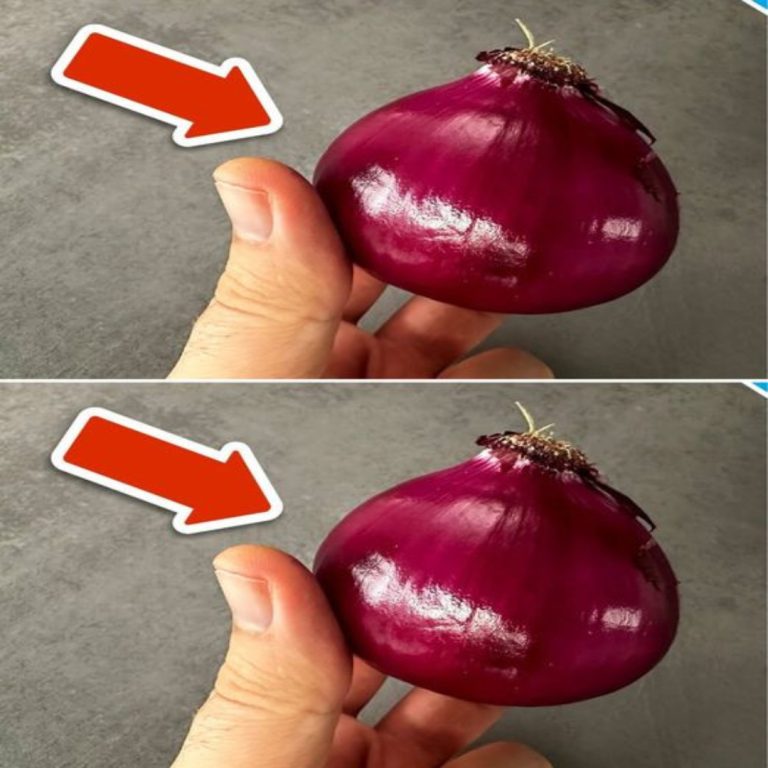 Woda ta sprawi, że Twoje rośliny na balkonie lub w ogrodzie będą kwitły przez cały rok.