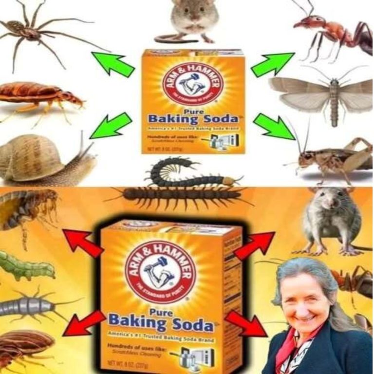 Jak używać sody oczyszczonej, aby pozbyć się pasożytów w sposób naturalny