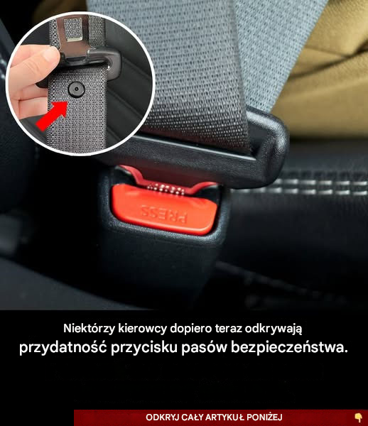Zaskakujące odkrycie: zagadka przycisku pasów bezpieczeństwa w końcu rozwiązana