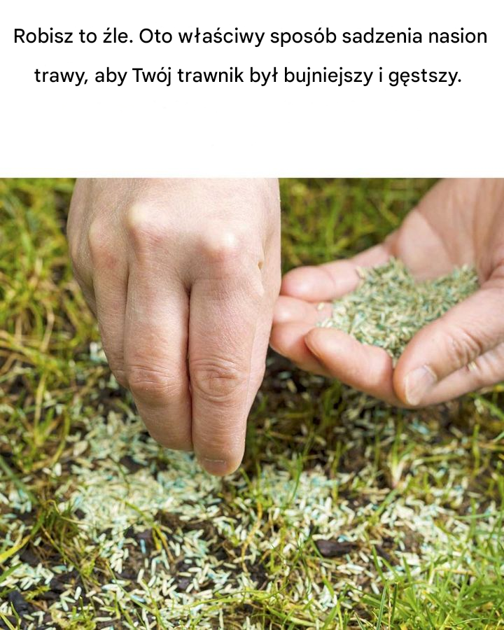 Świetne informacje! Szkoda, że ​​nie zobaczyłam ich wcześniej!